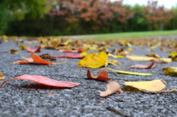 More Details on the Asphalt Paving and Repair Service Provider