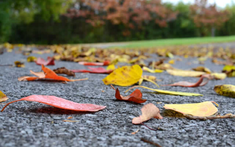 More Details on the Asphalt Paving and Repair Service Provider