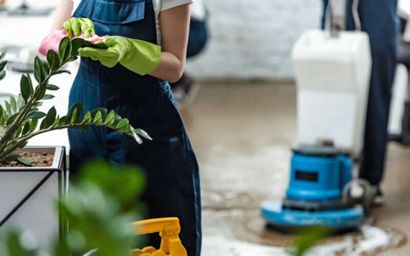 How Professional Cleaning Helps In Preserving The Integrity of The Office In COVID-19?