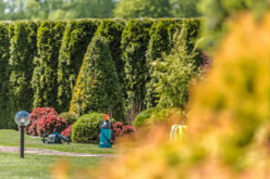 What To Consider When Remodeling Your Yard