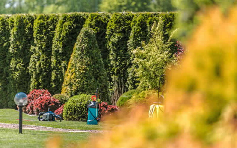 What To Consider When Remodeling Your Yard