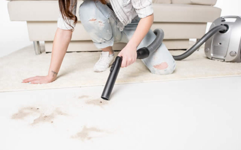 The Do’s And Don’ts Put Forward By The Best Carpet Cleaning Services