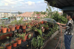 The Pros and Cons of a Flat Roof