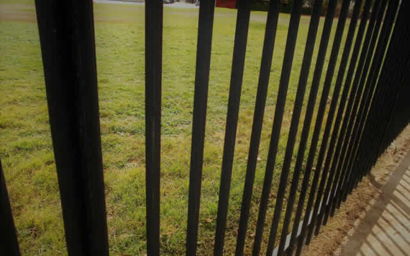 Iron Vs. Wood Fencing: Which is Better?