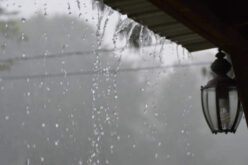 6 Tips For Collecting Rainwater