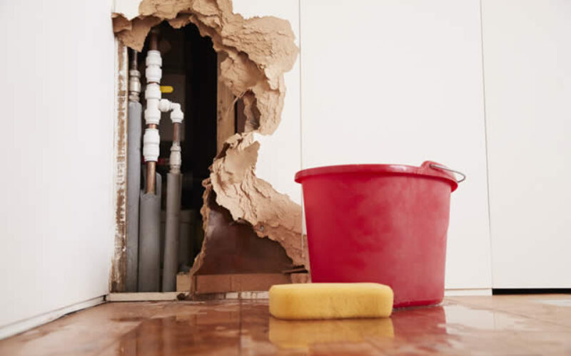 How to Handle Water Damage When Renovating Your Basement