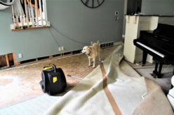 5 Common Causes of Water Damage