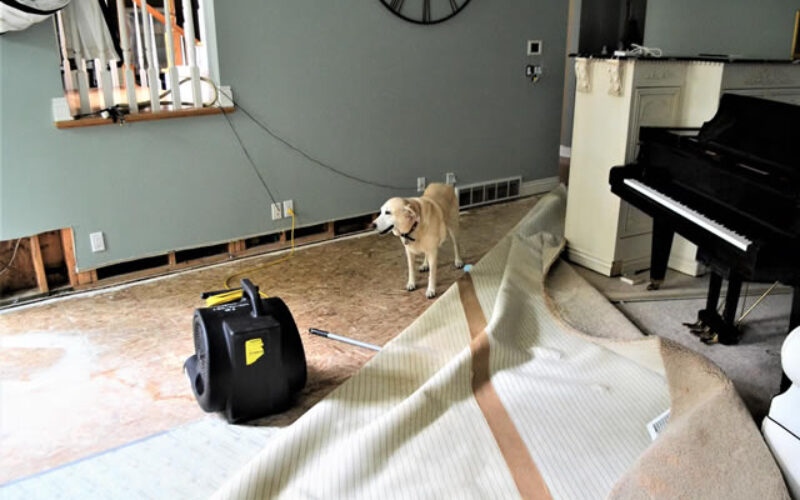 5 Common Causes of Water Damage
