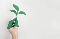 The Benefits of Moving into a Green Home
