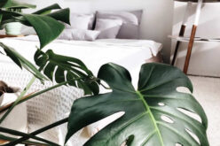 <span>Sunday Morning Tip for July 04:</span> 3 Easy and Affordable Updates for Your Home