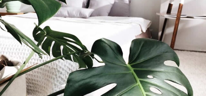<span>Sunday Morning Tip for July 04:</span> 3 Easy and Affordable Updates for Your Home