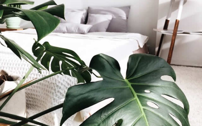 <span>Sunday Morning Tip for July 04:</span> 3 Easy and Affordable Updates for Your Home