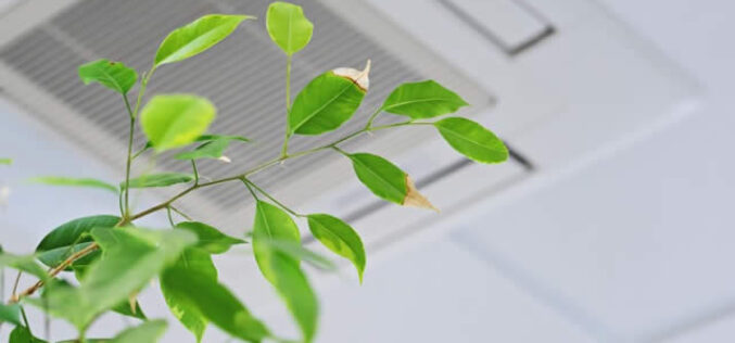 Most Common Issues, When  You Skip AC Maintenance
