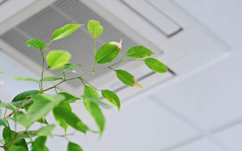 Most Common Issues, When  You Skip AC Maintenance