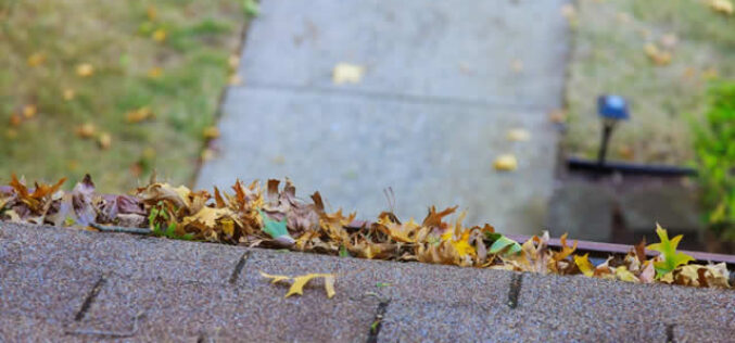 4 Home Repairs to Tackle before This Fall