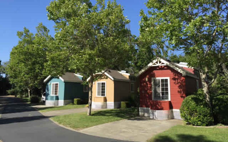 Reasons Why You Should Consider a Tiny Home
