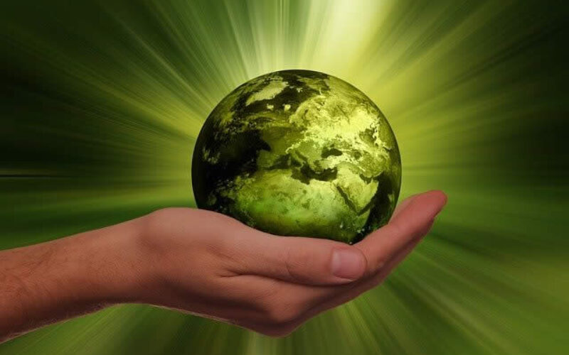 Steps To Help You Live More Sustainably