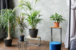 6 Tips for Keeping Your Home Smelling Fresh