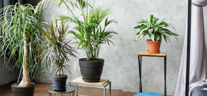 6 Tips for Keeping Your Home Smelling Fresh