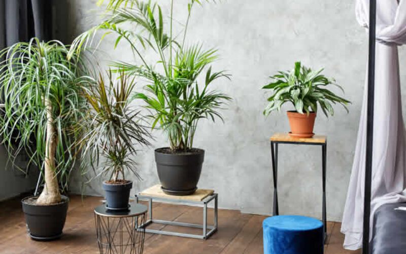 6 Tips for Keeping Your Home Smelling Fresh