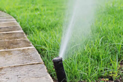 Lawn Sprinkler Timers Can Help Customers Use Less Water Outdoors