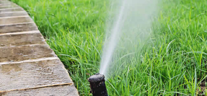 Lawn Sprinkler Timers Can Help Customers Use Less Water Outdoors