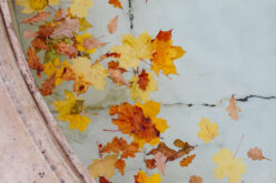 Best Tips for Closing Your In-Ground Pool for Winter