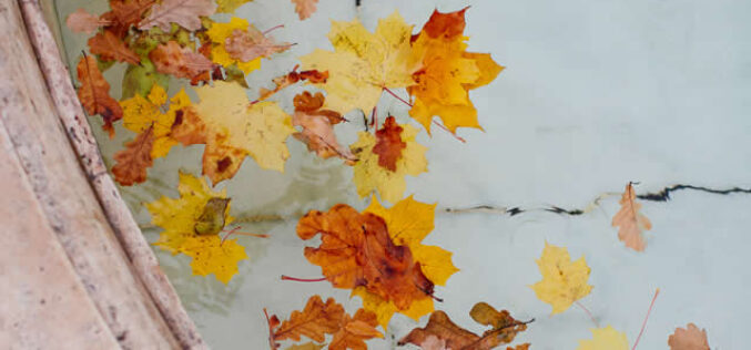 Best Tips for Closing Your In-Ground Pool for Winter