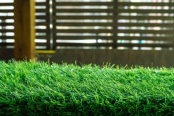 Which Kind of Artificial Grass is Right for Your Home?