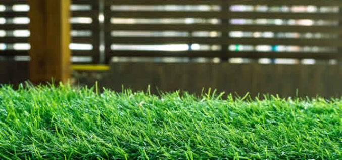 Which Kind of Artificial Grass is Right for Your Home?
