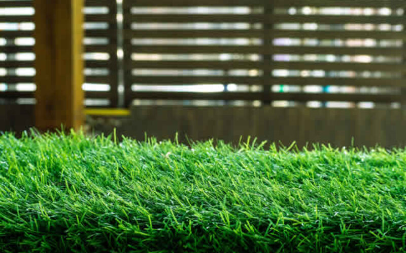 Which Kind of Artificial Grass is Right for Your Home?