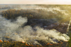 <span>Sunday Morning Tip for Oct 24:</span> How Can We Prevent And Respond To Bushfires