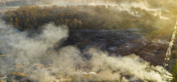 <span>Sunday Morning Tip for Oct 24:</span> How Can We Prevent And Respond To Bushfires