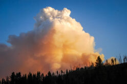 How to Make Your Home More Resistant to Wildfires