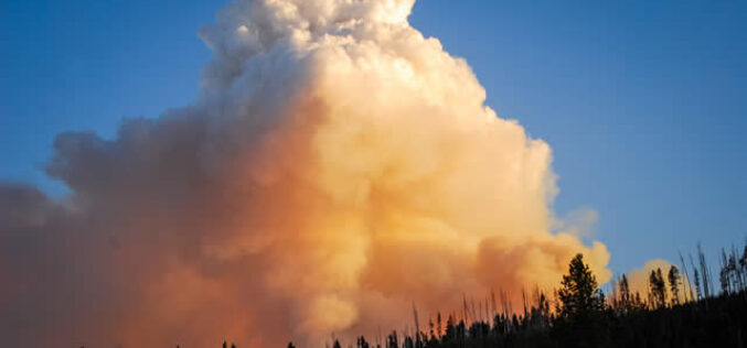 How to Make Your Home More Resistant to Wildfires