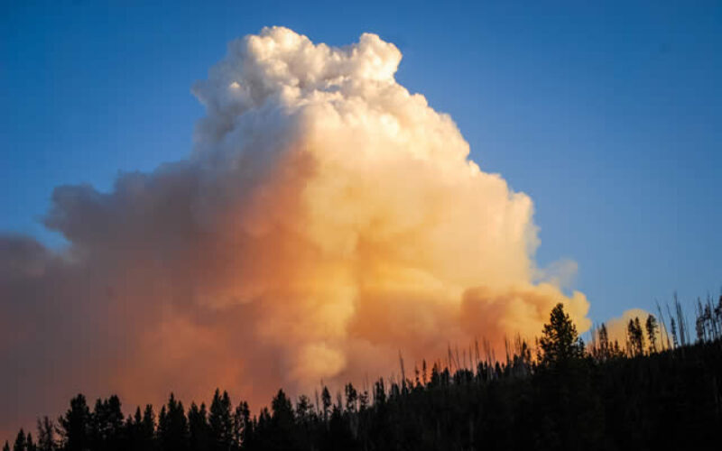 How to Make Your Home More Resistant to Wildfires