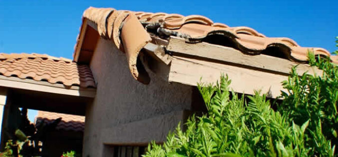 How to Protect Your Roof From Environmental Hazards