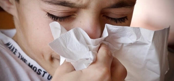 The Most Common Allergens Hiding in Your Home