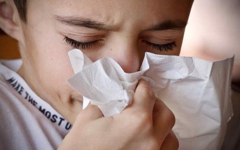 The Most Common Allergens Hiding in Your Home
