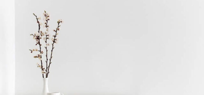 How To Smoothly Transition Into the Minimalist Lifestyle