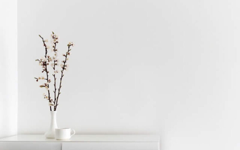 How To Smoothly Transition Into the Minimalist Lifestyle