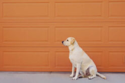 Why Garage Door Repair Technicians Are Such a Crucial Resource
