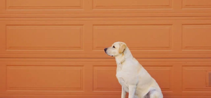 Why Garage Door Repair Technicians Are Such a Crucial Resource