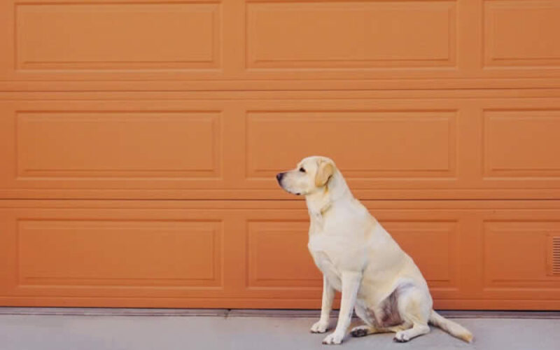 Why Garage Door Repair Technicians Are Such a Crucial Resource