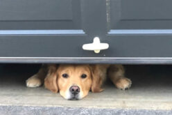 What To Do If Your Garage Door Won’t Close