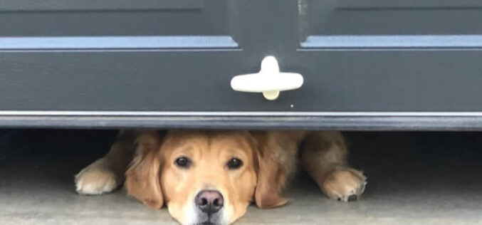 What To Do If Your Garage Door Won’t Close
