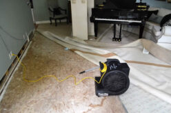 Has Your Property Suffered From Water Damage?