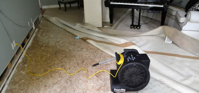 Has Your Property Suffered From Water Damage?