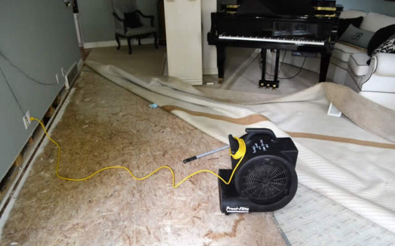 Has Your Property Suffered From Water Damage?