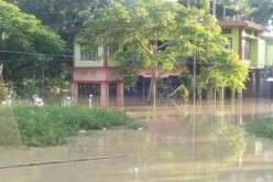 Making Your Home in a Flood-Prone Area Appealing to Buyers